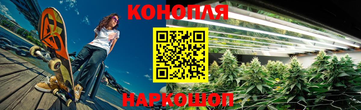 Бошки Шишки сатива Тихвин